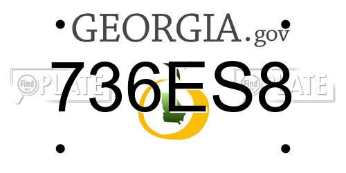 736ES8 Georgia License Plate