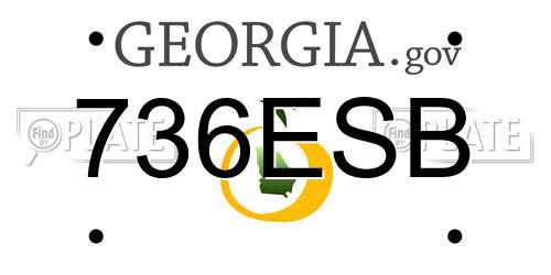 736ESB Georgia License Plate