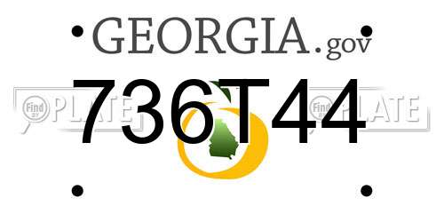 736T44 Georgia License Plate