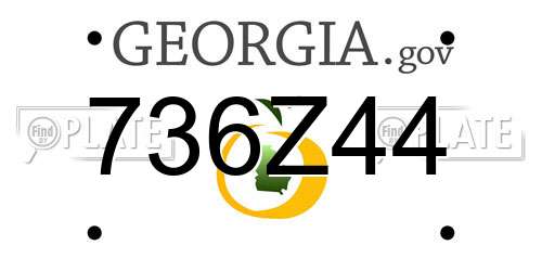 736Z44 Georgia License Plate