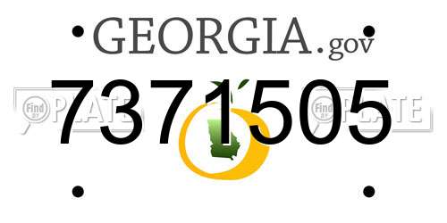 7371505 Georgia License Plate
