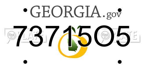73715O5 Georgia License Plate