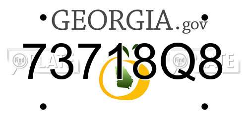 73718Q8 Georgia License Plate