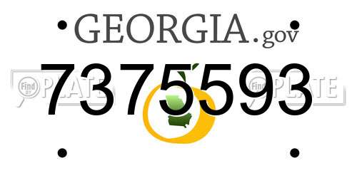 7375593 Georgia License Plate