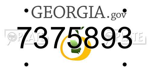 7375893 Georgia License Plate