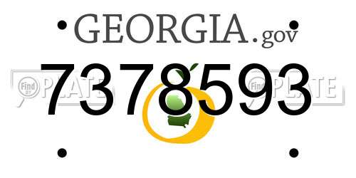 7378593 Georgia License Plate