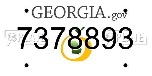 7378893 Georgia License Plate