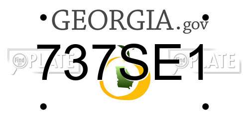 737SE1 Georgia License Plate