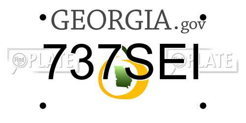 737SEI Georgia License Plate