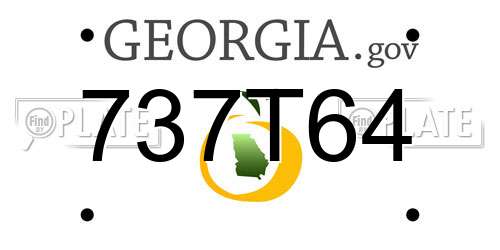 737T64 Georgia License Plate