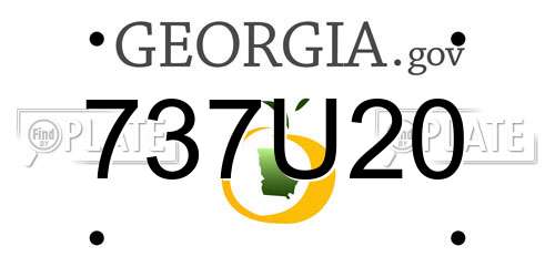 737U20 Georgia License Plate