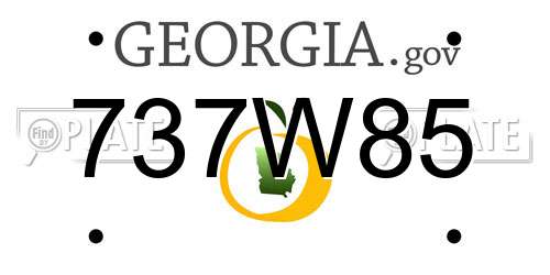 737W85 Georgia License Plate