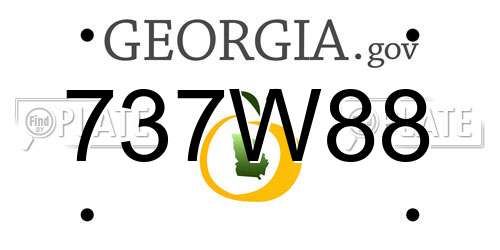 737W88 Georgia License Plate