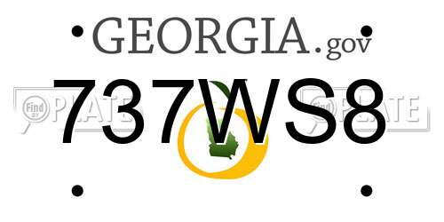 737WS8 Georgia License Plate