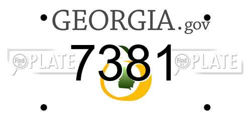 7381 Georgia License Plate
