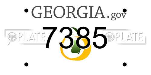7385 Georgia License Plate