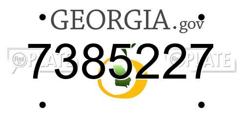 7385227 Georgia License Plate