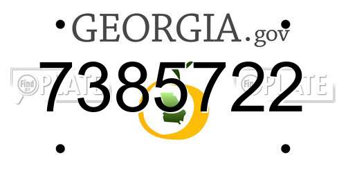 7385722 Georgia License Plate