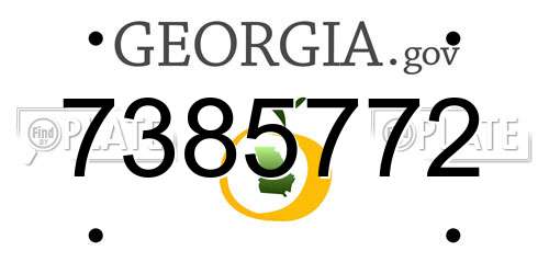 7385772 Georgia License Plate