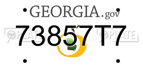 73857T7 Georgia License Plate