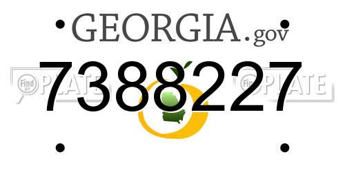 7388227 Georgia License Plate