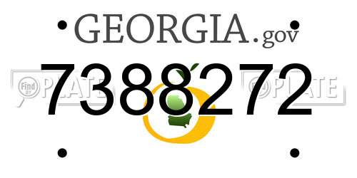 7388272 Georgia License Plate