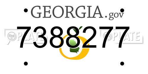 7388277 Georgia License Plate