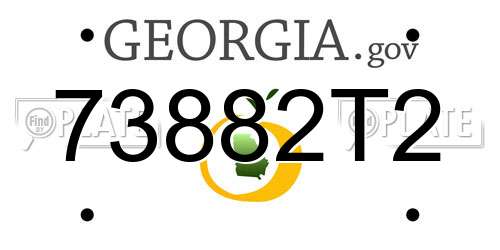 73882T2 Georgia License Plate