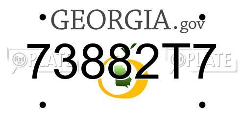 73882T7 Georgia License Plate