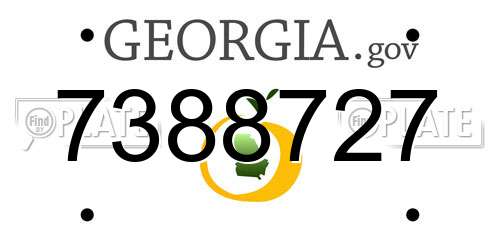 7388727 Georgia License Plate