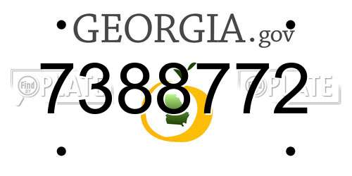 7388772 Georgia License Plate