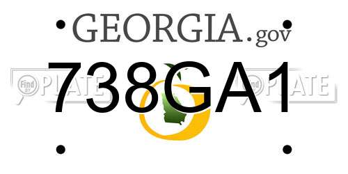 738GA1 Georgia License Plate