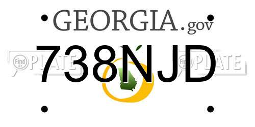 738NJD Georgia License Plate