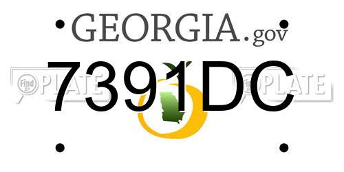 7391DC Georgia License Plate