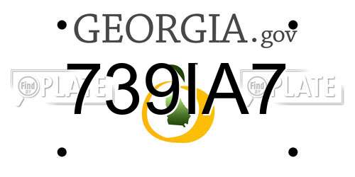739IA7 Georgia License Plate