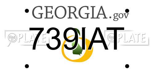 739IAT Georgia License Plate