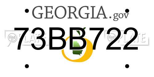 73BB722 Georgia License Plate