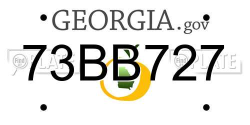 73BB727 Georgia License Plate