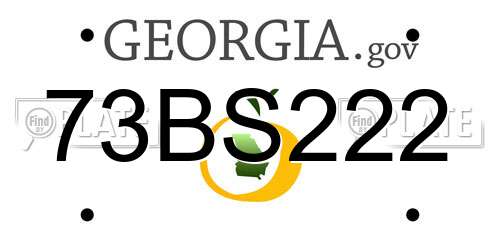73BS222 Georgia License Plate