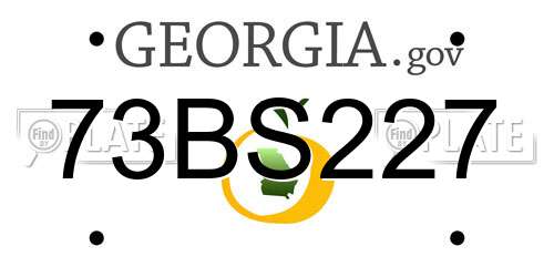 73BS227 Georgia License Plate