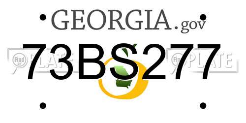 73BS277 Georgia License Plate
