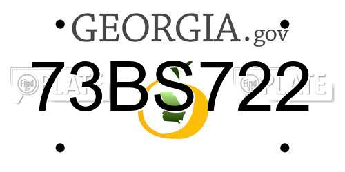 73BS722 Georgia License Plate