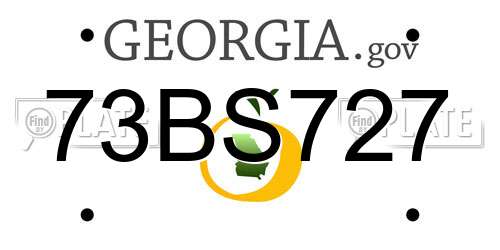 73BS727 Georgia License Plate