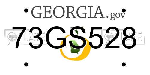 73GS528 Georgia License Plate