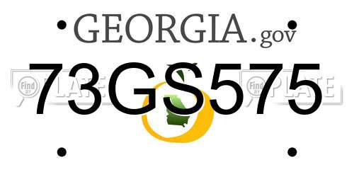 73GS575 Georgia License Plate