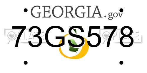 73GS578 Georgia License Plate