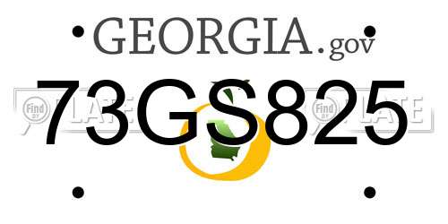 73GS825 Georgia License Plate