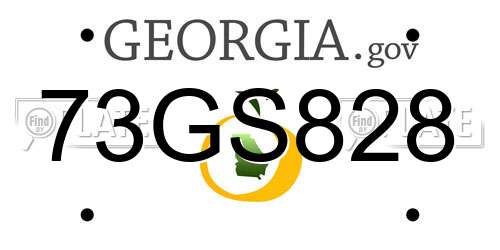73GS828 Georgia License Plate
