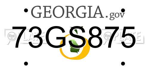 73GS875 Georgia License Plate