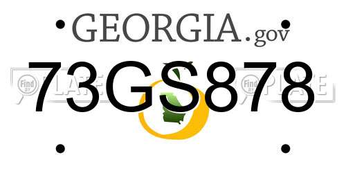 73GS878 Georgia License Plate